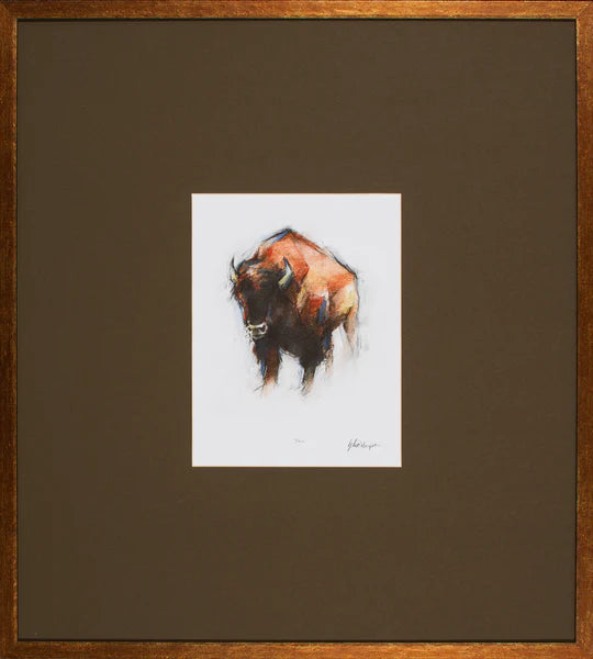 Animal Study Collection