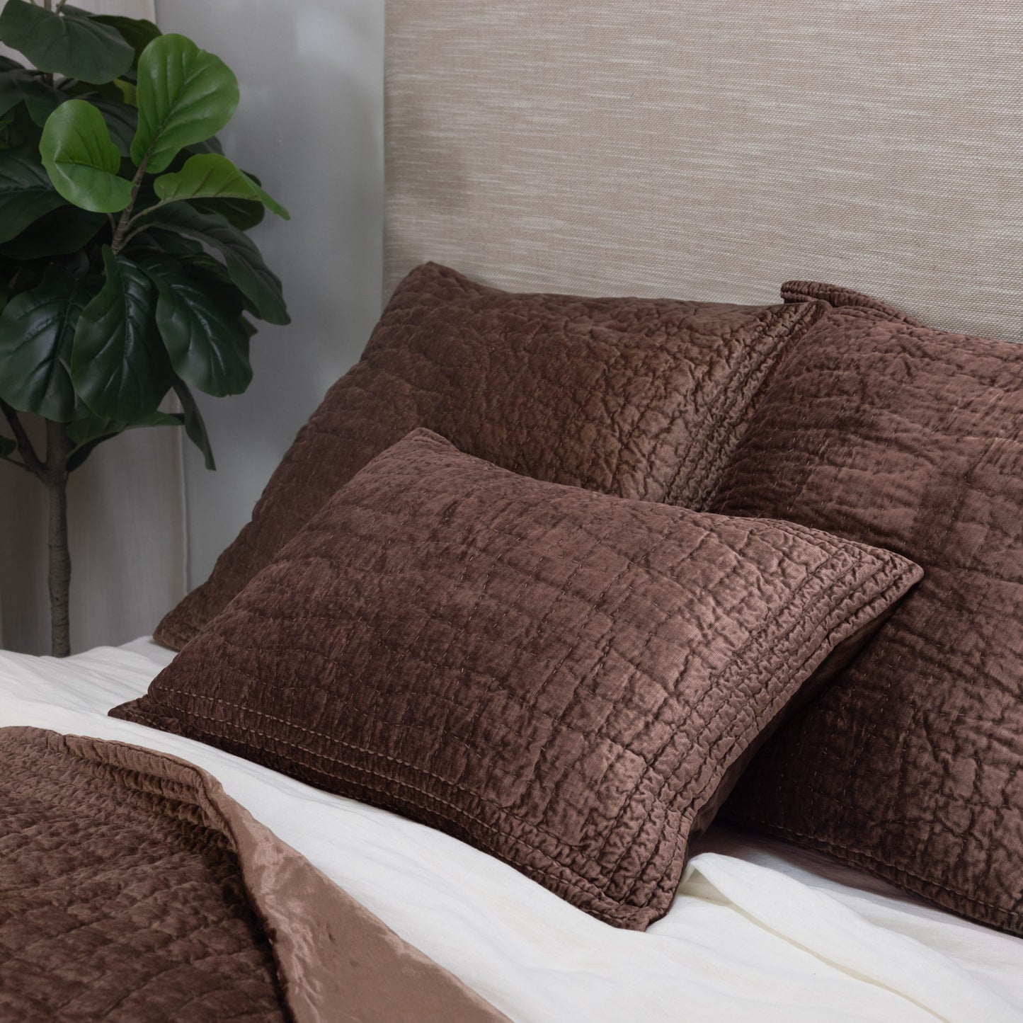Aurora Bedding Collection