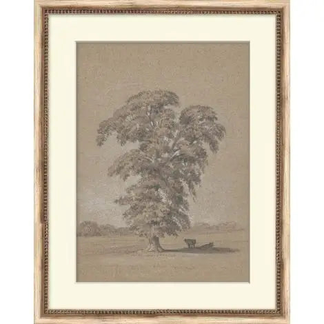 Beneath the Cool Boughs