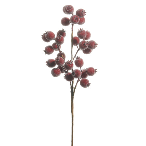 Burgundy Berry Pod Spray