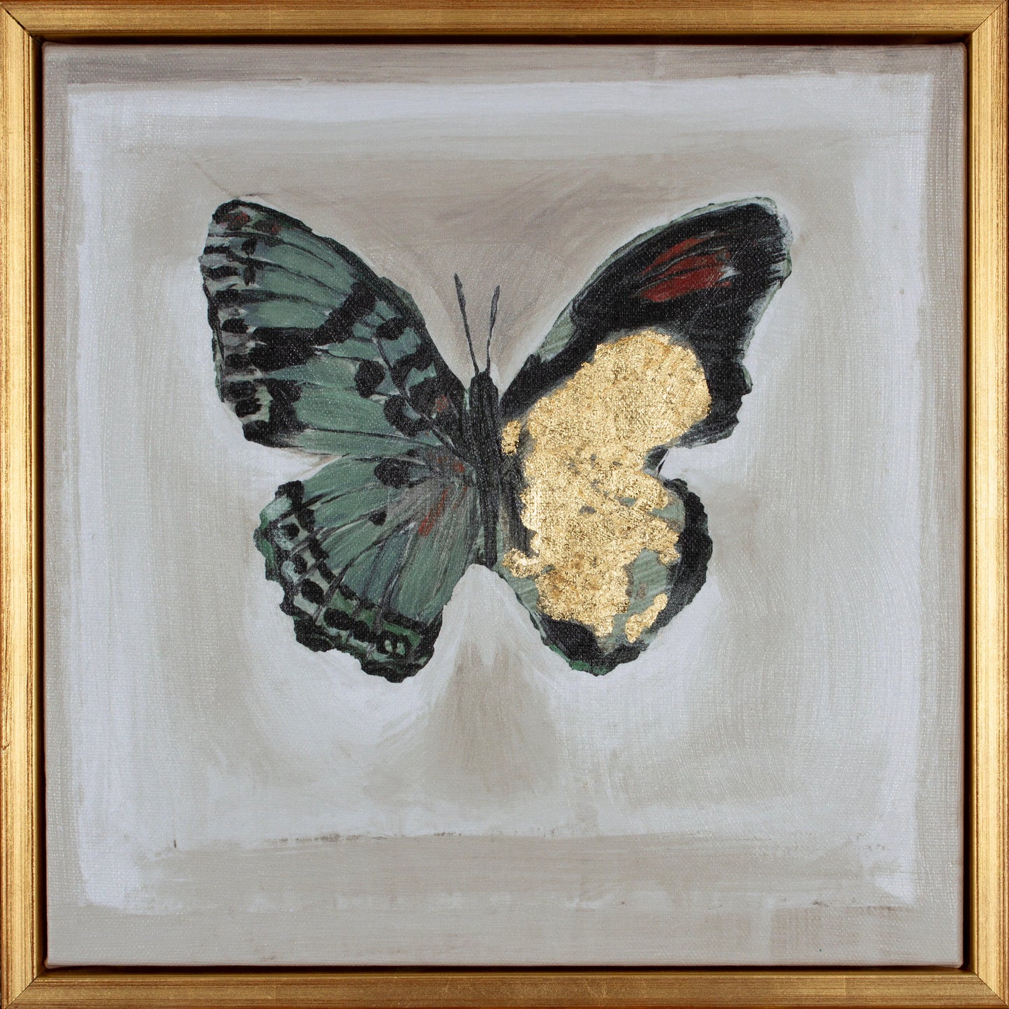 Butterfly Collection