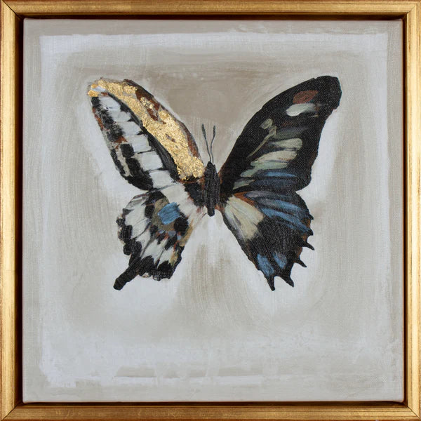 Butterfly Collection