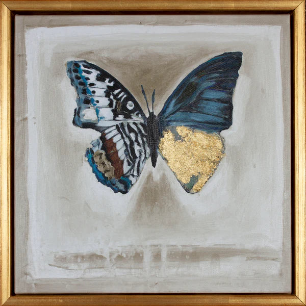 Butterfly Collection