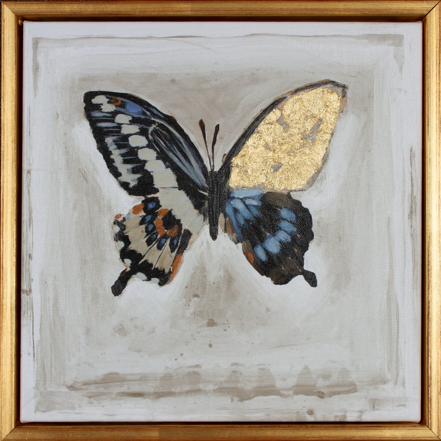 Butterfly Collection