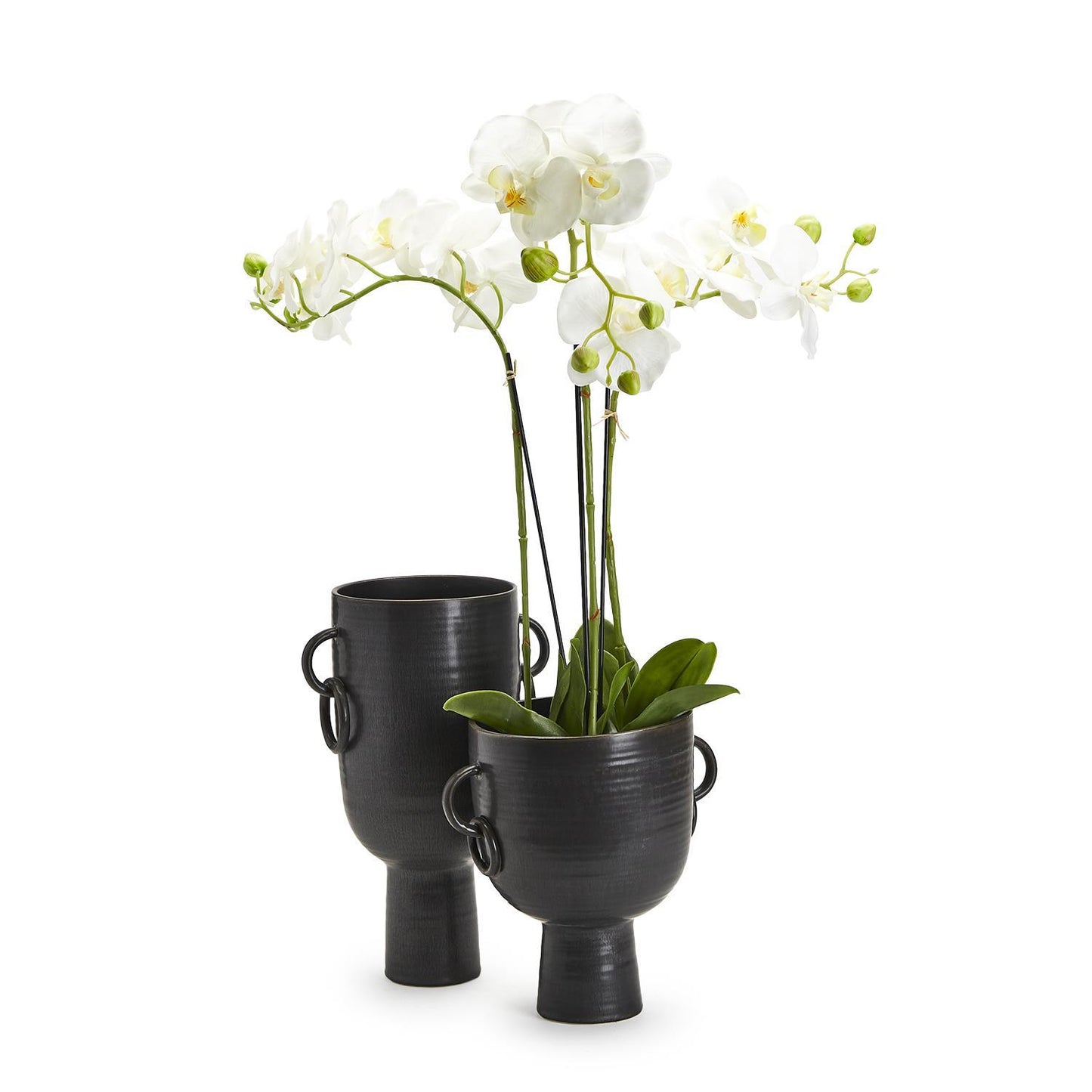 Black Glazed Cup Collection
