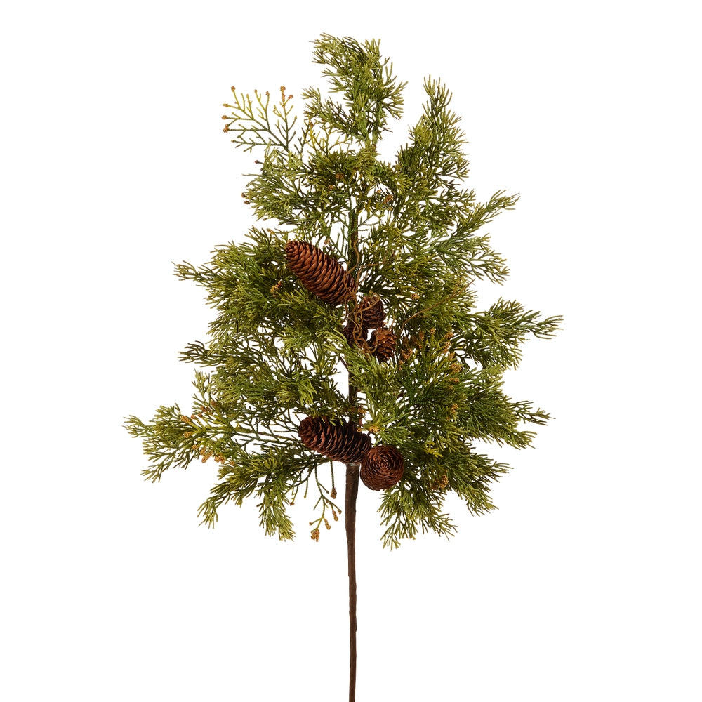 Cedar and Pinecone Spray