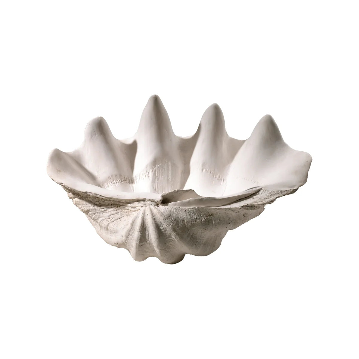 Clam Shell Bowl