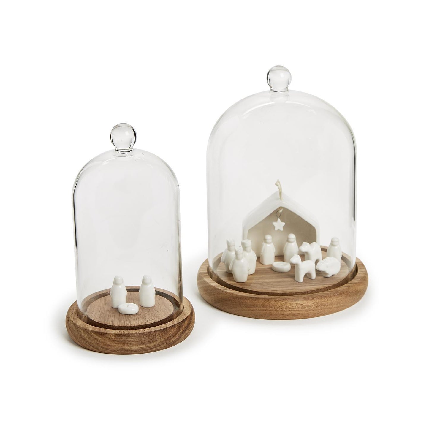Cloche with Wooden Base Collection