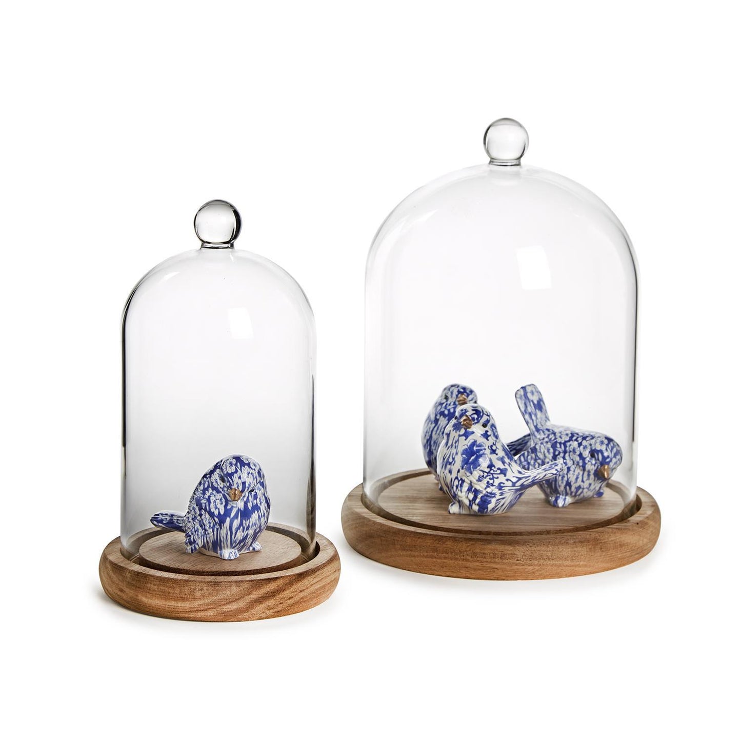 Cloche with Wooden Base Collection
