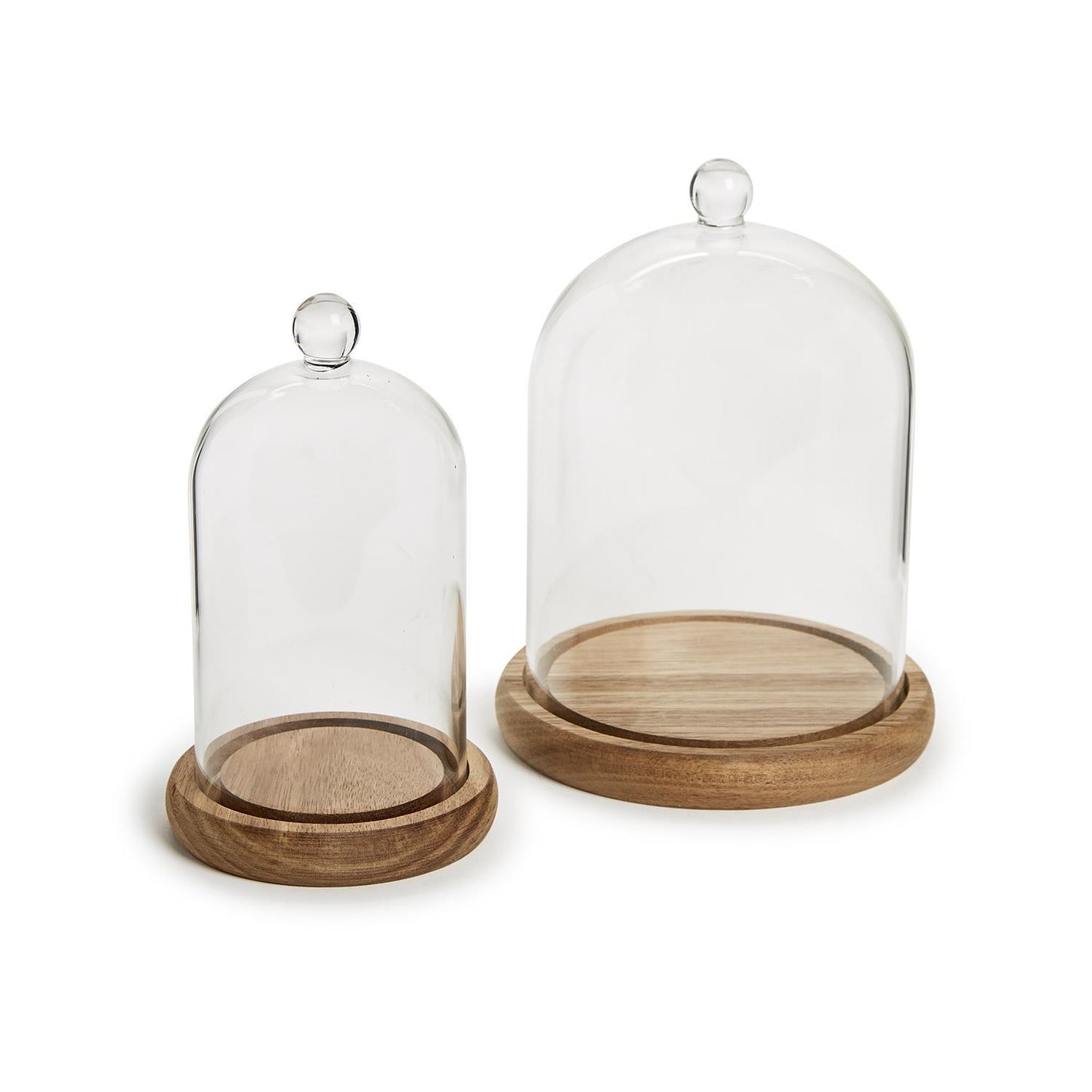 Cloche with Wooden Base Collection