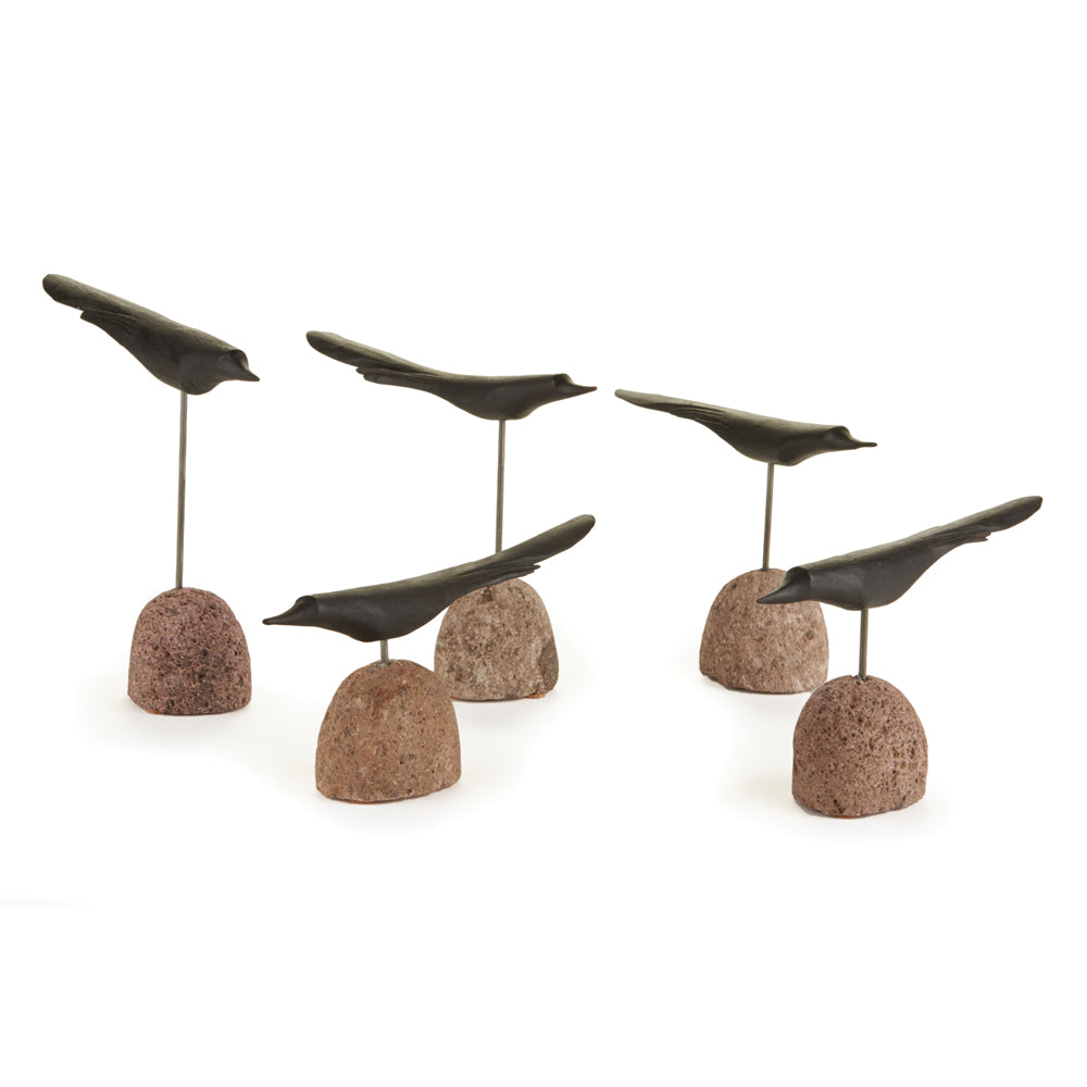 Flock of Black Birds Collection