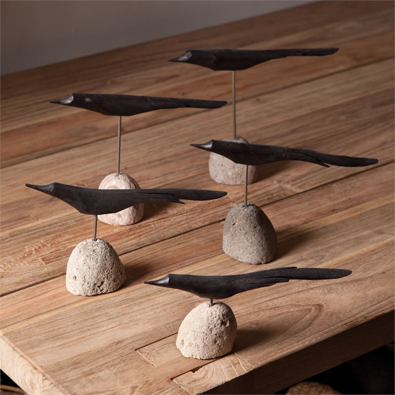 Flock of Black Birds Collection