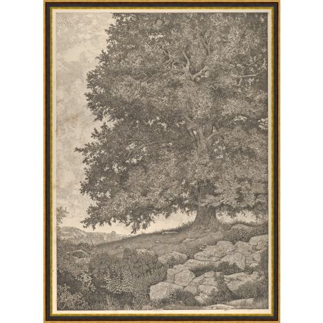 Grandfather's Tree