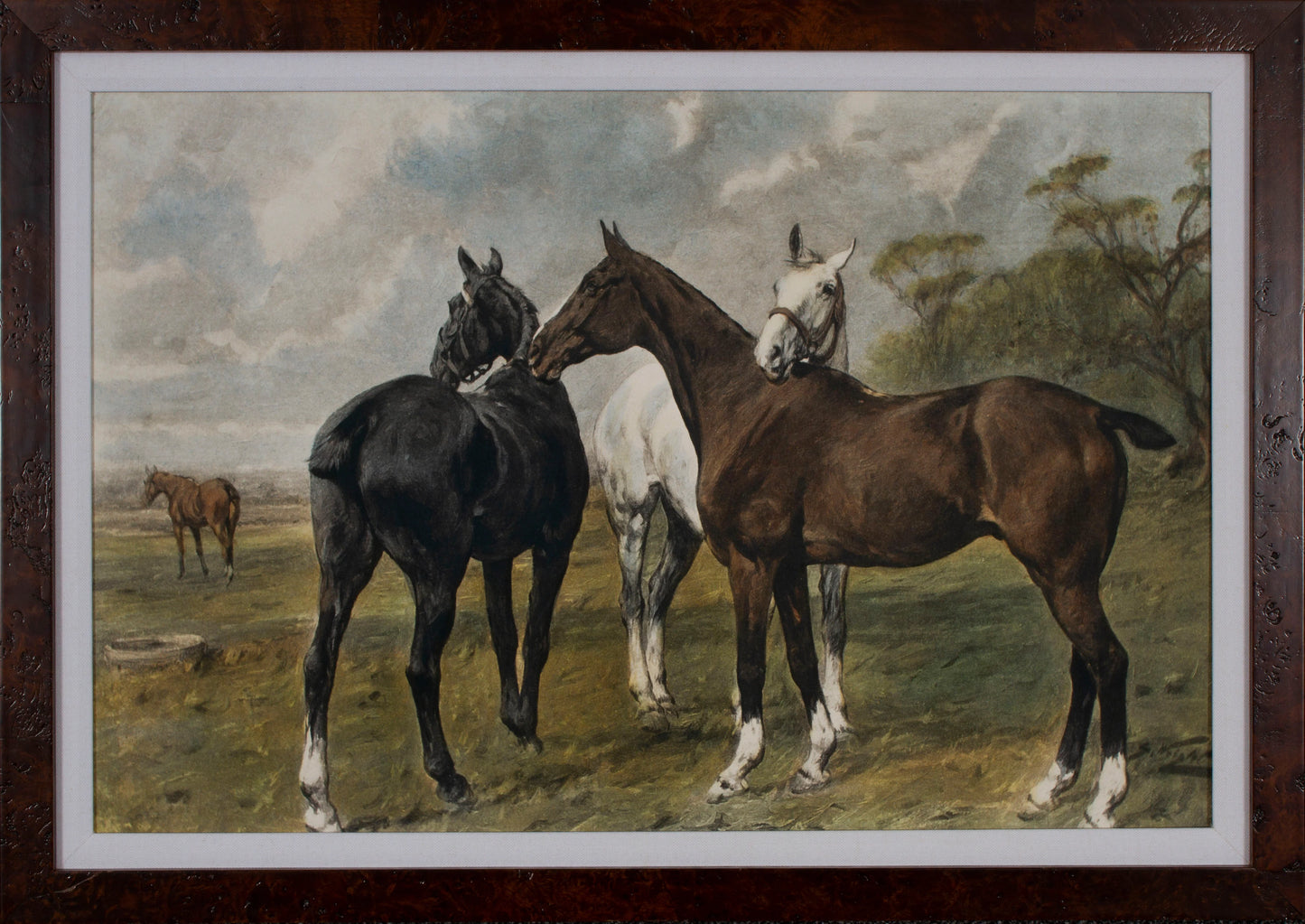 Horses at the Water Cooler