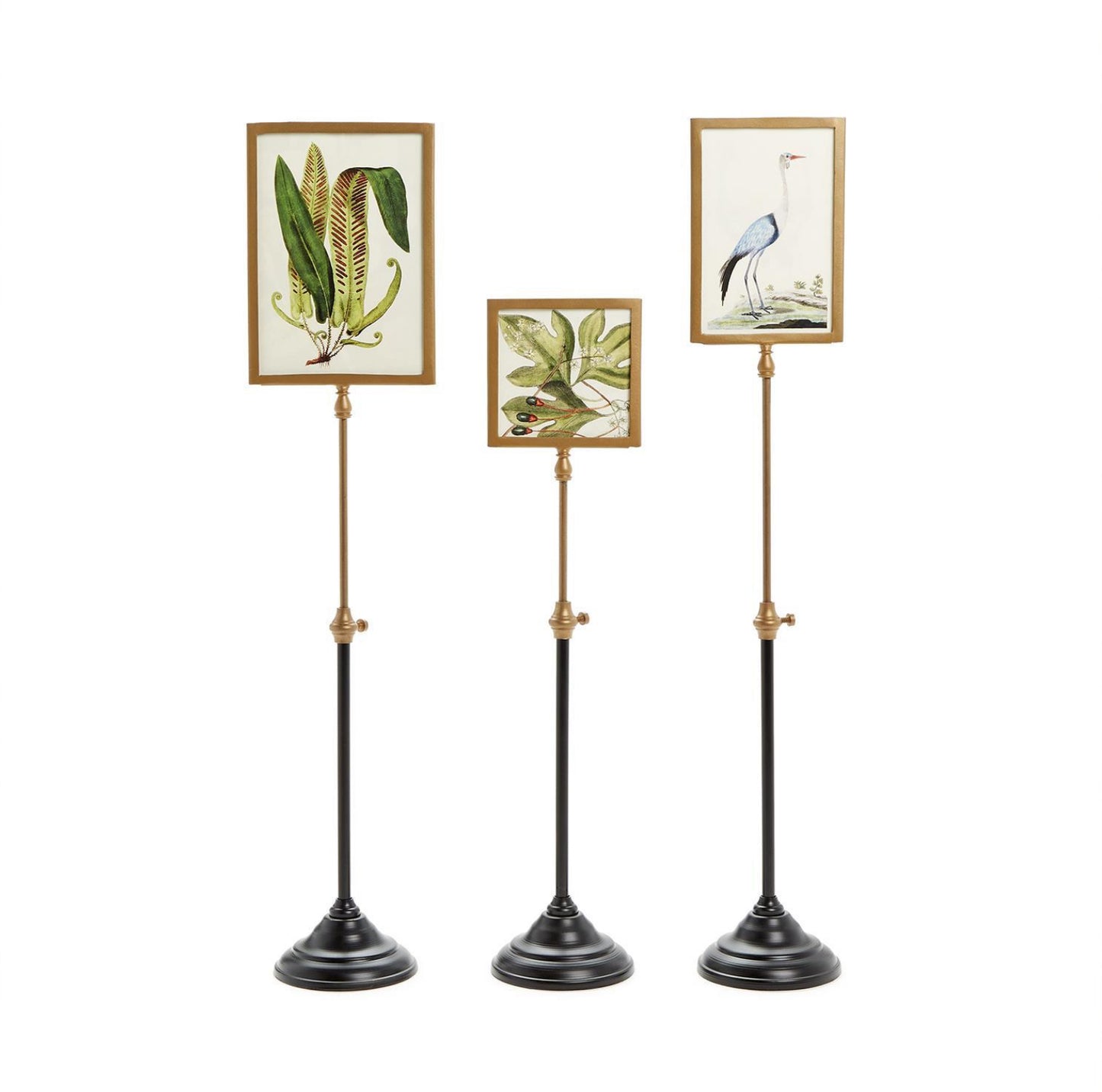 Double-Sided Frame on Telescoping Pole