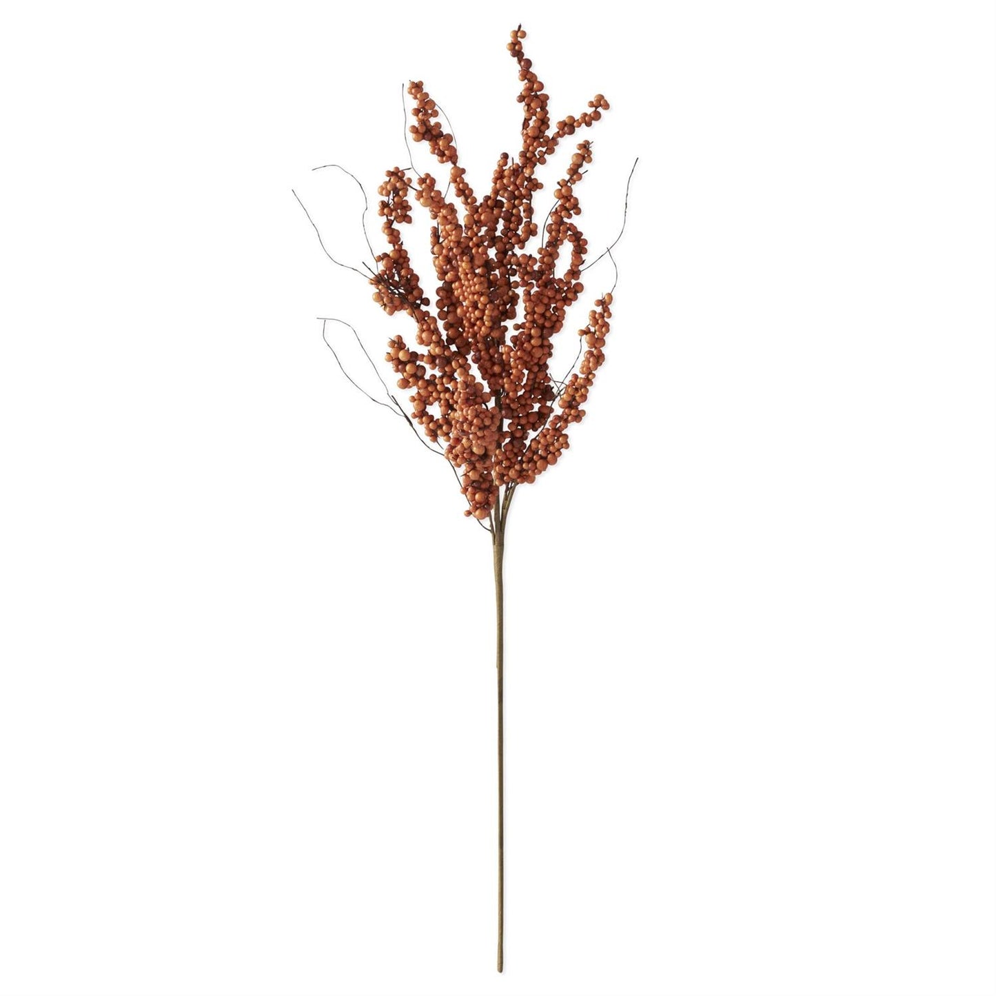 Berry Stem