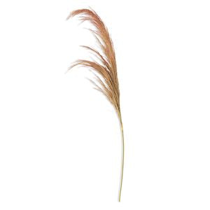 Natural 45" Pampas Grass