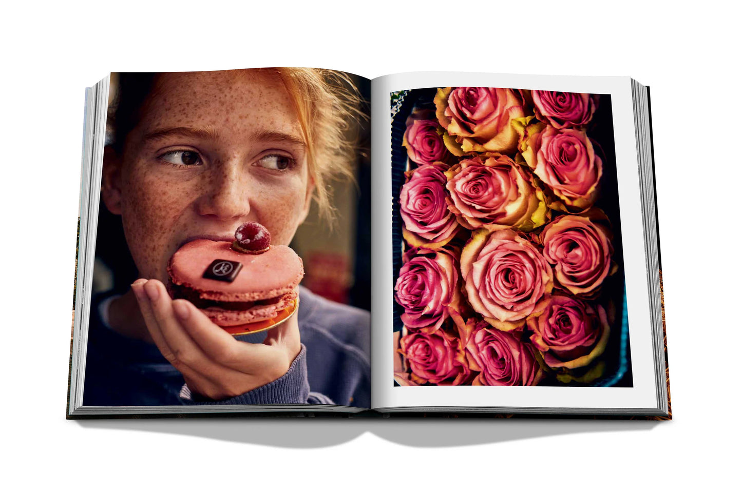 Paris Chic Coffee Table Book