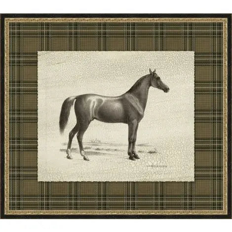 Patterned Dignity Collection