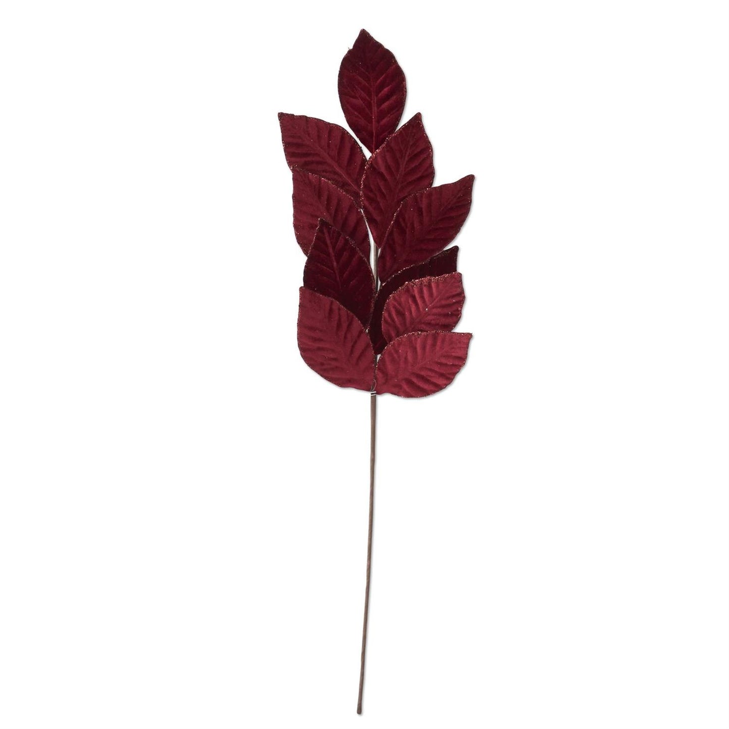 Burgundy Leaf Stem