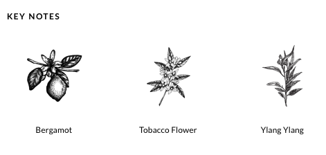 Havana Leather Series