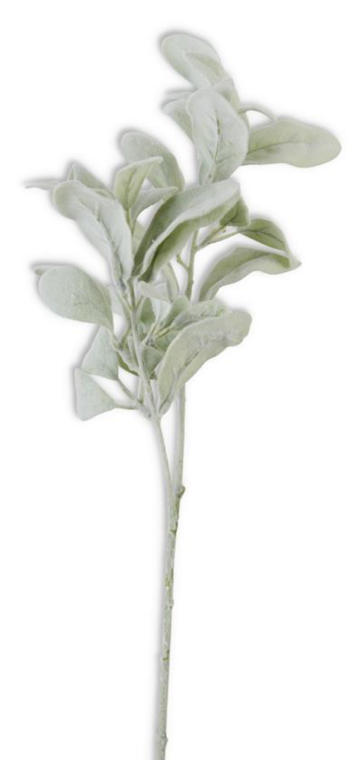 Lambs Ear Stem