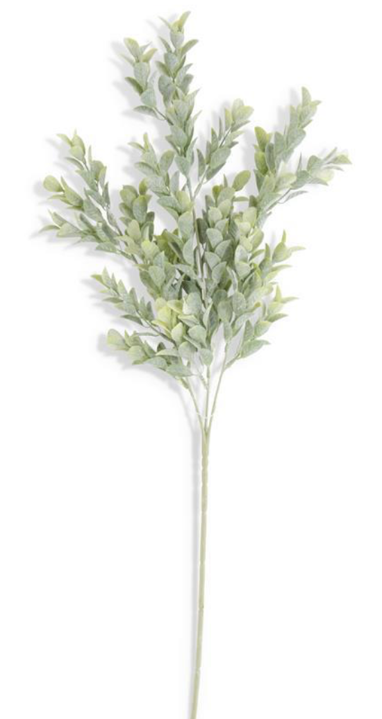 Powdered Boxwood Stem