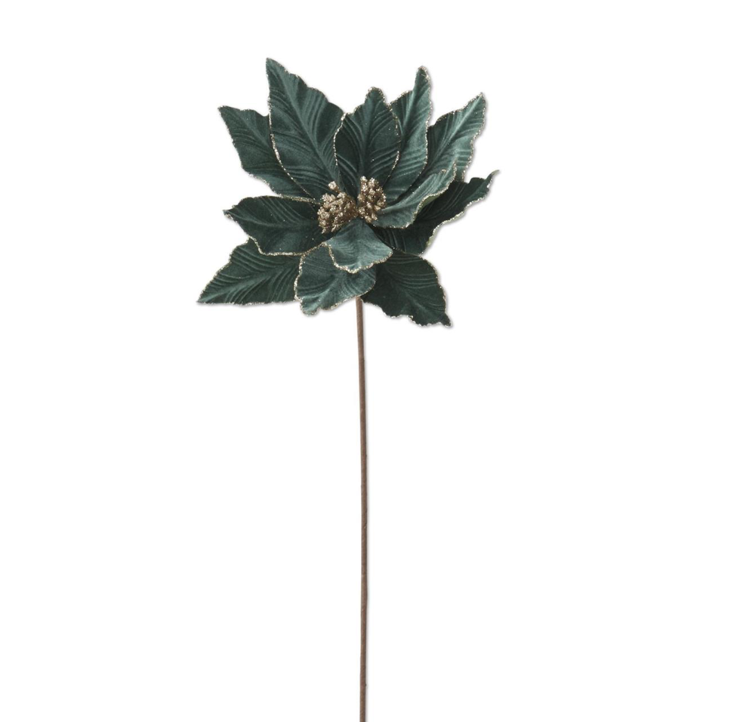 Dusty Green Poinsettia Stem