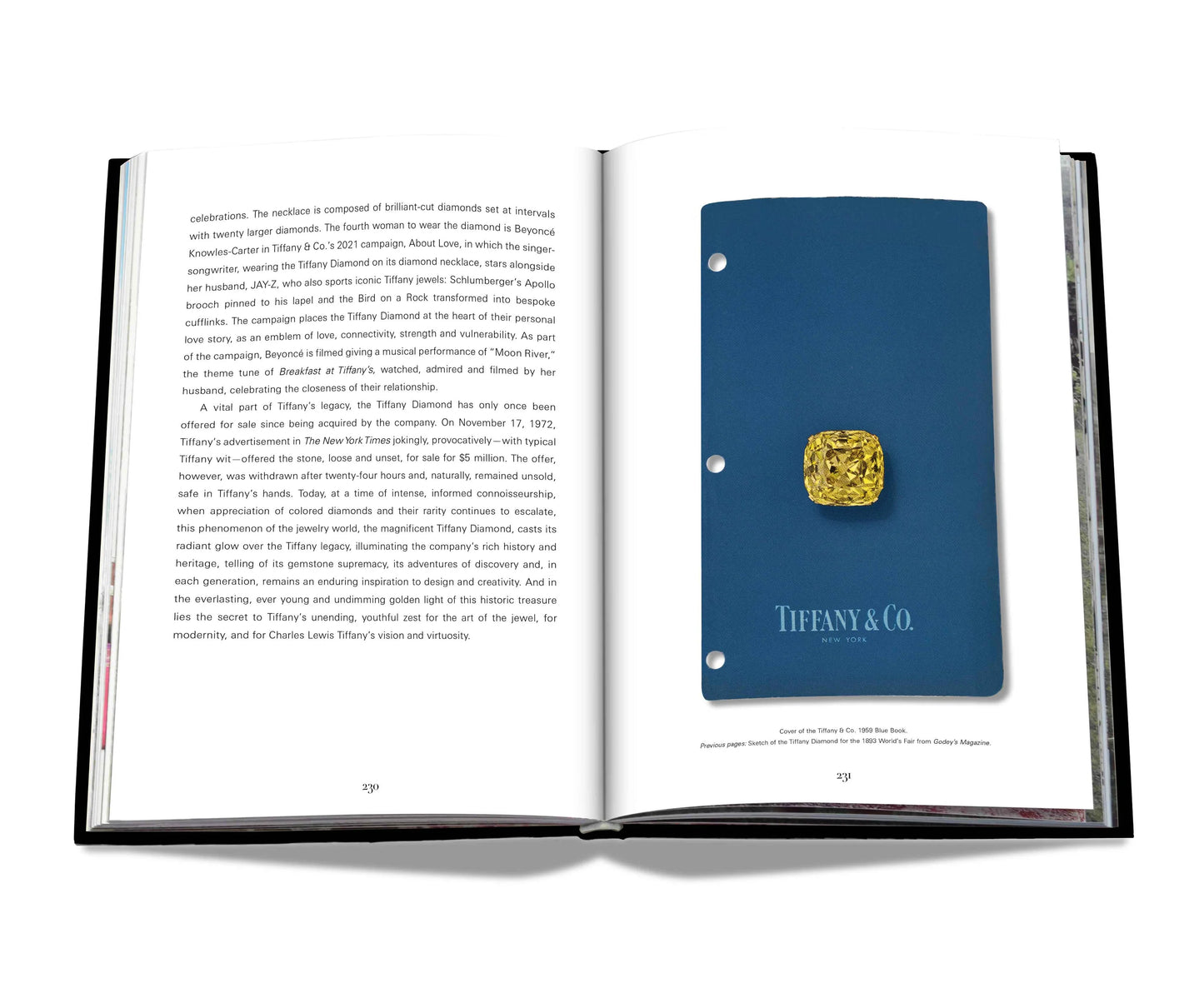Tiffany: Vision and Virtuosity