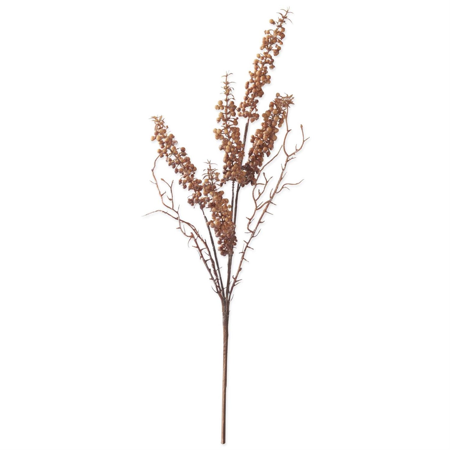 Berry Stem