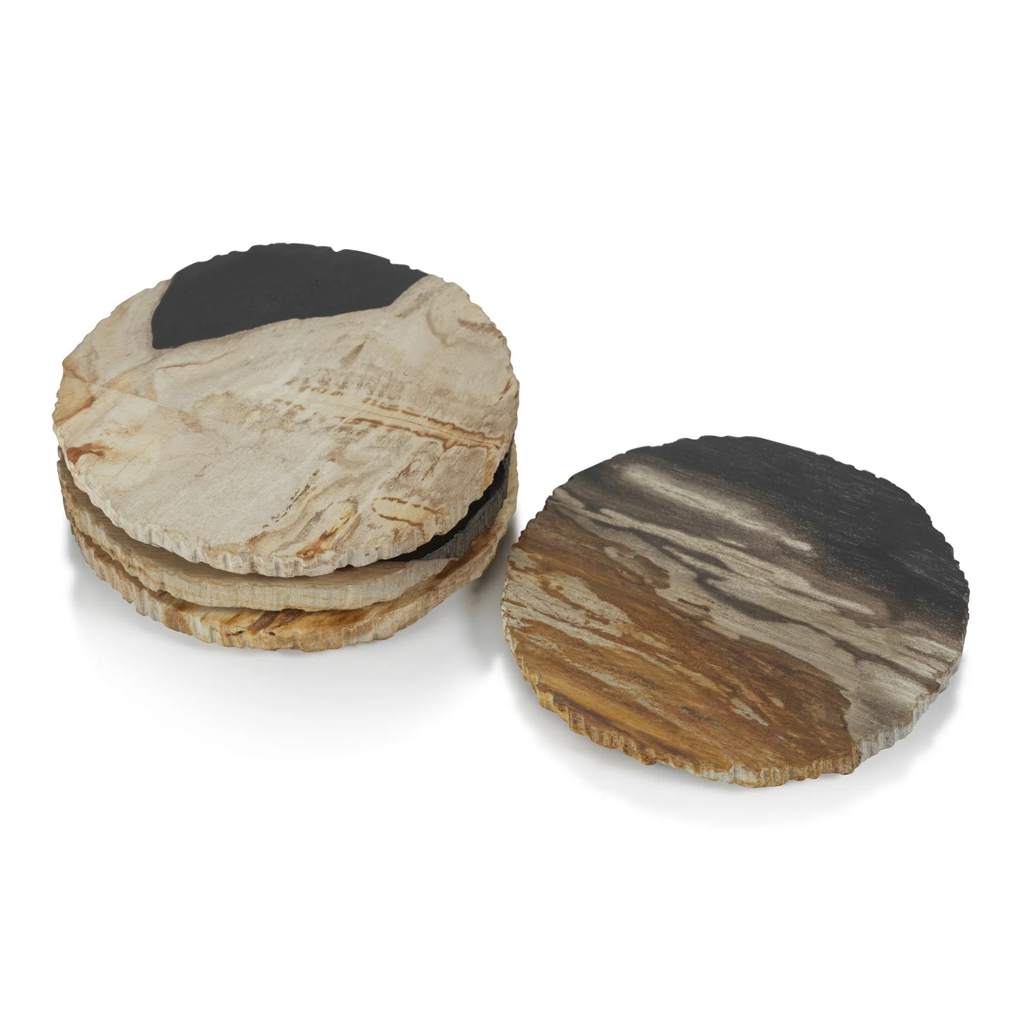 Curio Bay Petrified Wood Coaster