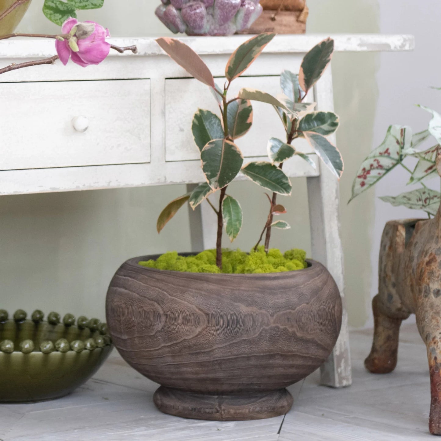 Paulownia Wood Planter, Stained Finish