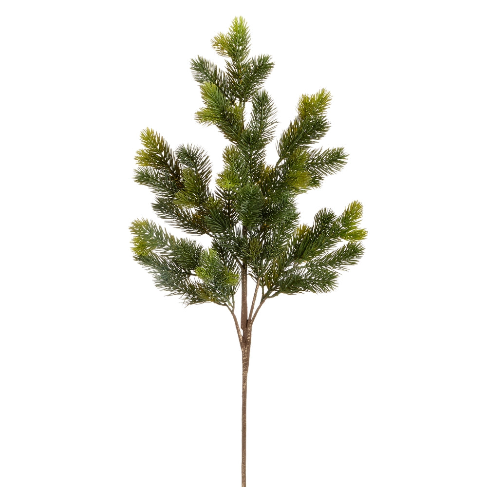 Pine Branch, 38”