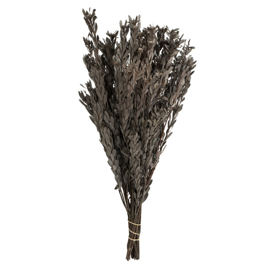 Silver White Preserved Pubescens Bundle