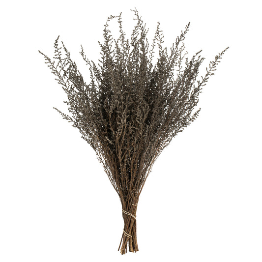 Silver White Preserved Stoebe Bundle