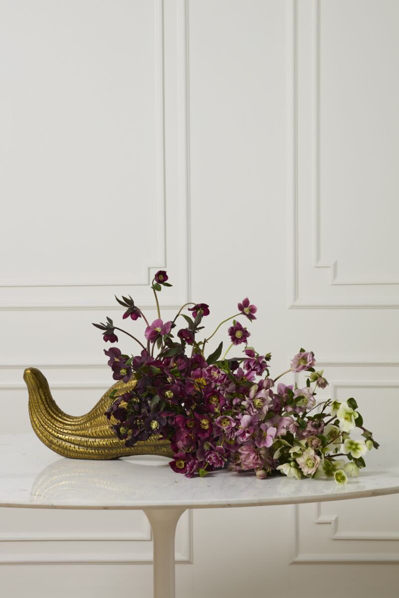 Harvest Cornucopia