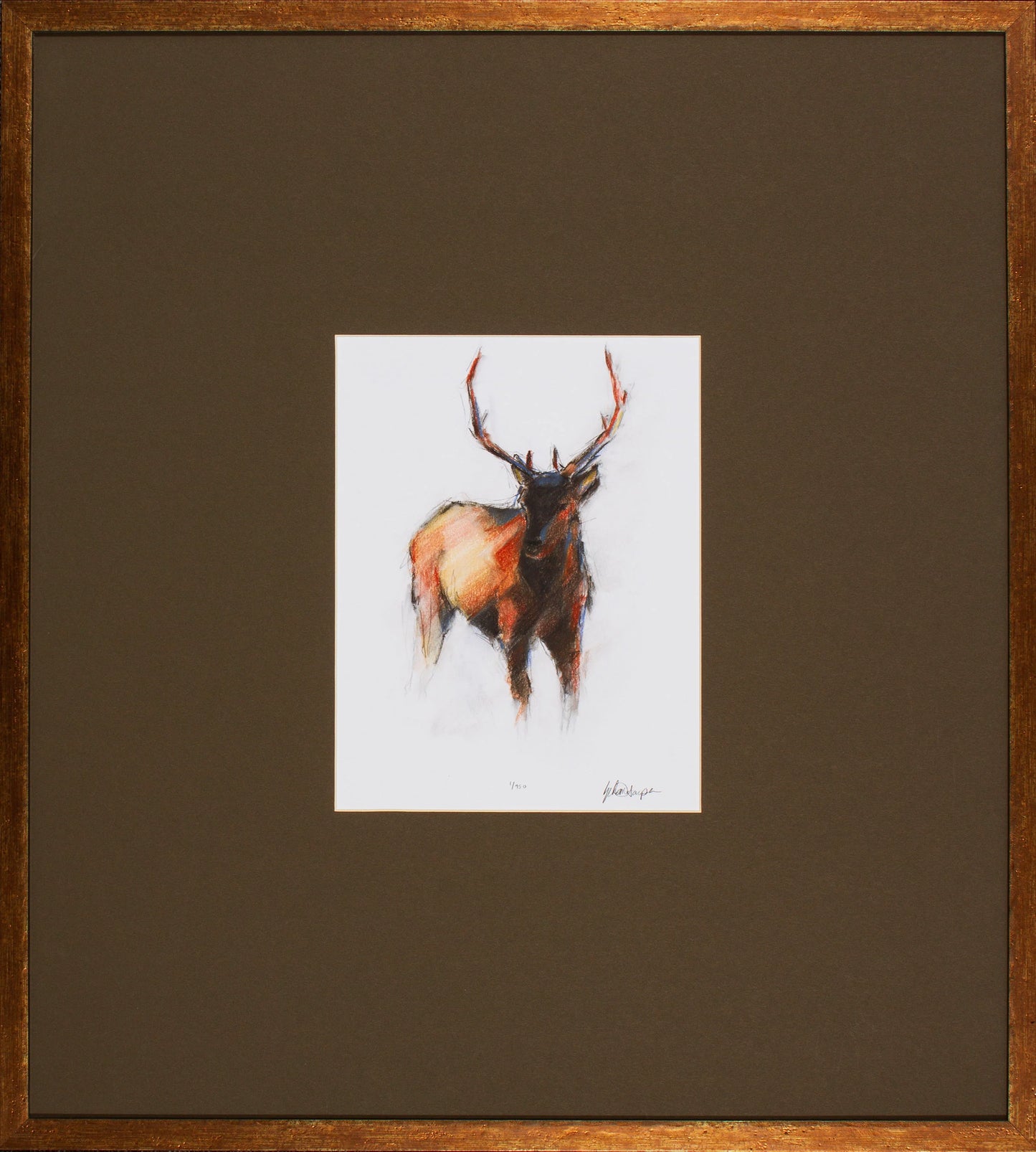 Animal Study Collection
