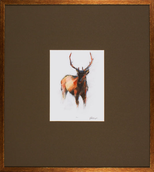 Animal Study Collection