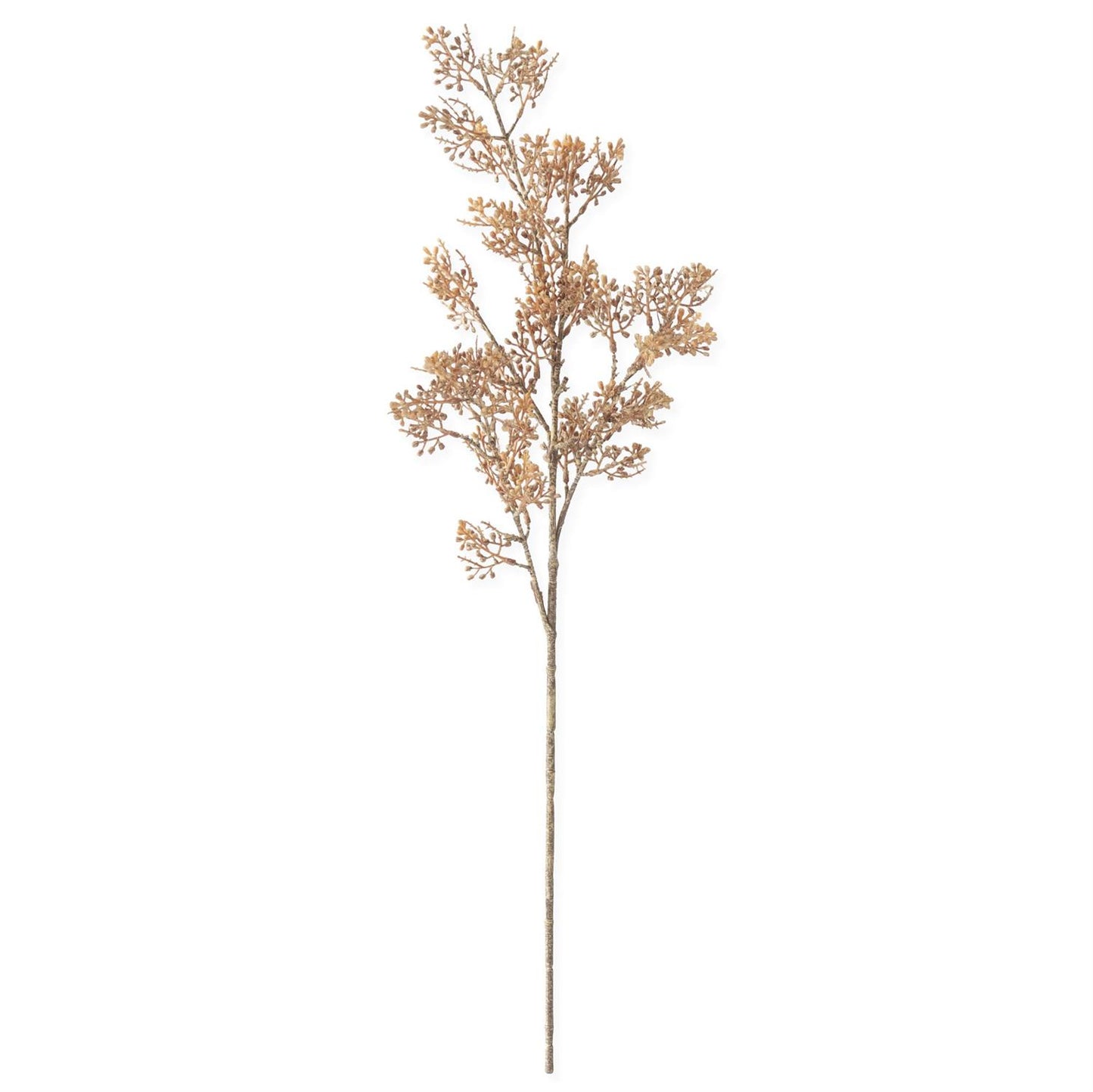 Brown and Orange Berry Branch