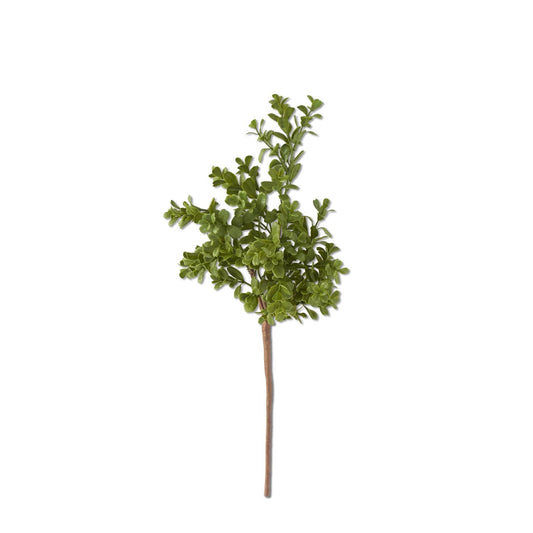 Real Touch Boxwood
