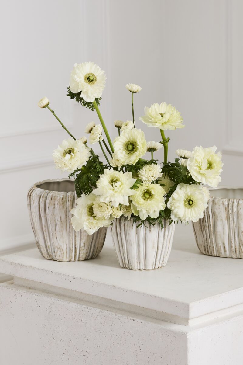 Cedric Pot Series