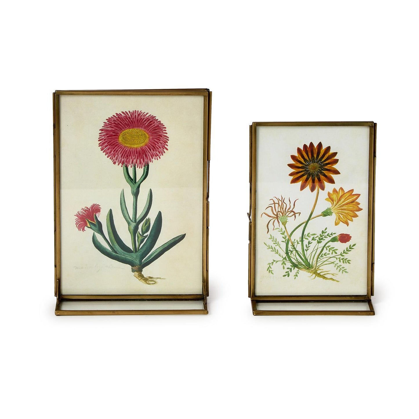 Gold Metal Frame Series