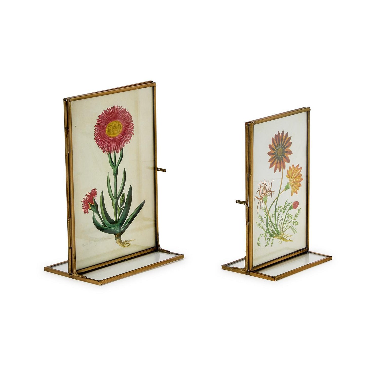 Gold Metal Frame Series