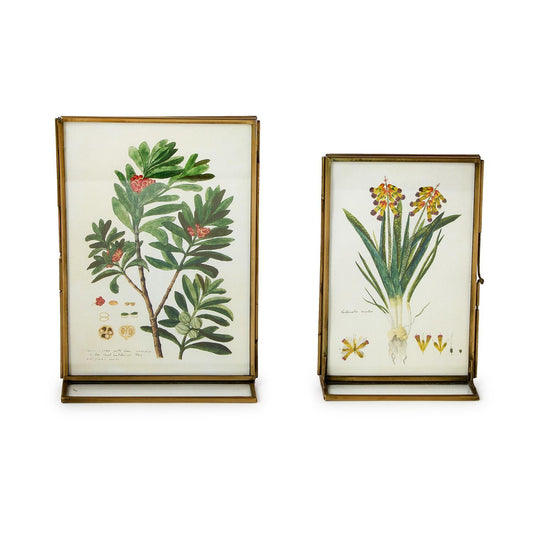 Gold Metal Frame Series