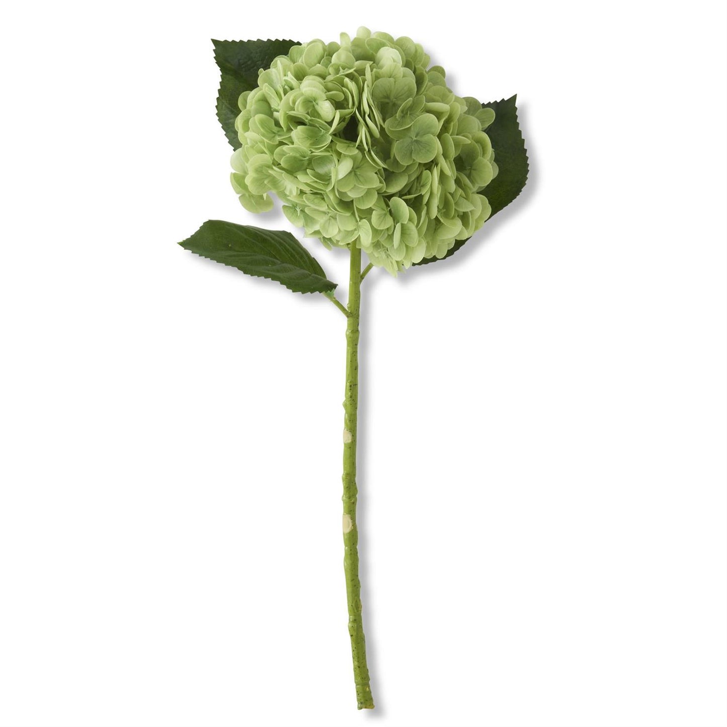 Real Touch Hydrangea Stem Collection