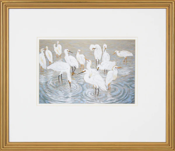 Herons and Egrets