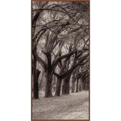 Nature's Arch Triptych, S/3