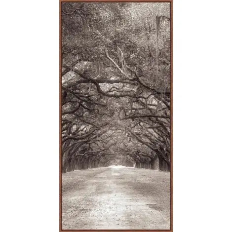 Nature's Arch Triptych, S/3
