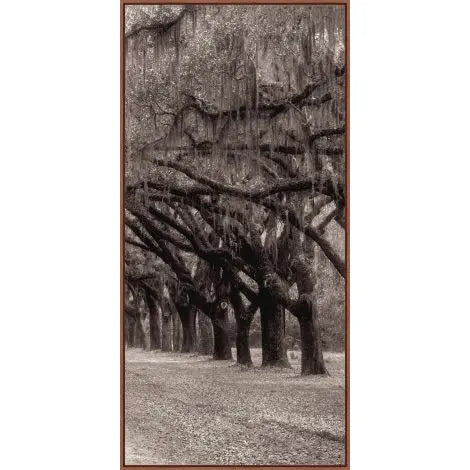 Nature's Arch Triptych, S/3