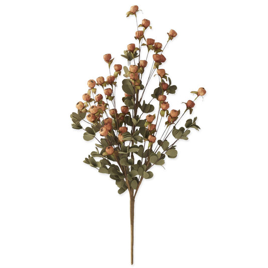 Orange Pod Bush with Eva Foliage